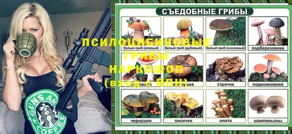 СК Ладушкин