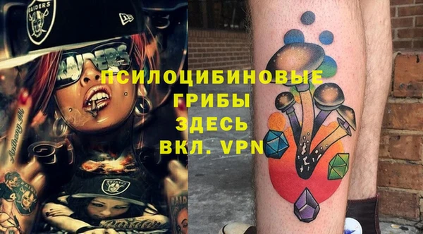 крисы Лабытнанги