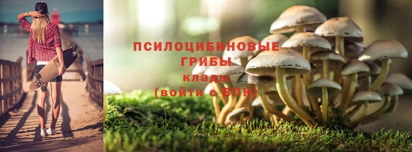 PSILOCYBIN Волоколамск