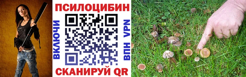 ссылка на мегу ССЫЛКА shop наркотические препараты Псилоцибиновые грибы GOLDEN TEACHER Красноярск