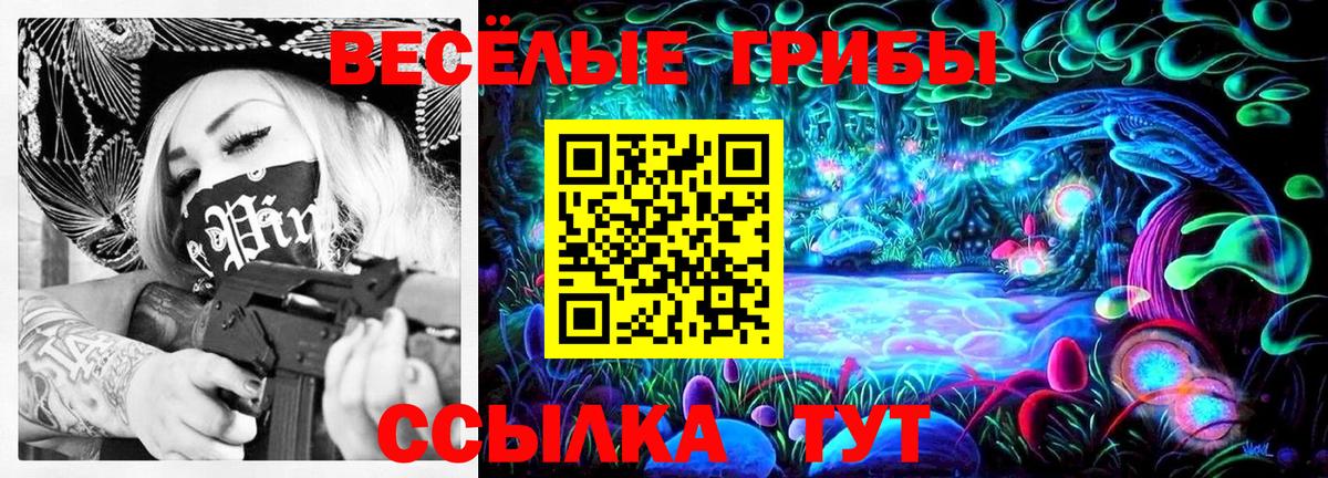 Галлюциногенные грибы Psilocybine cubensis  сколько стоит  Красноярск 