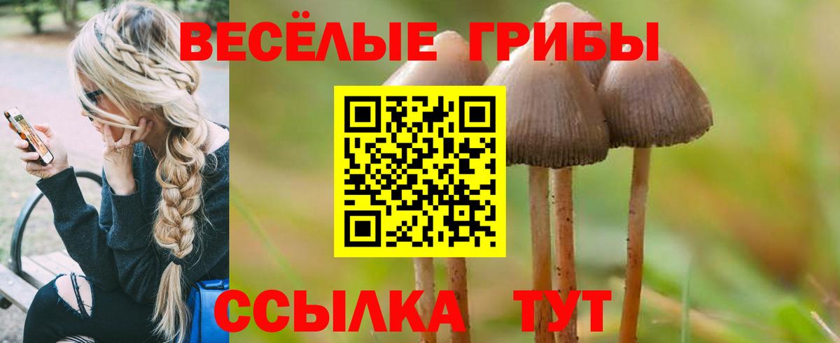 Псилоцибиновые грибы MAGIC MUSHROOMS Красноярск