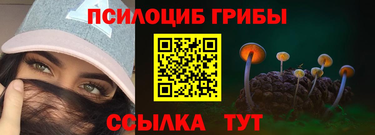 Красноярск  Псилоцибиновые грибы Cubensis  Вход с VPN 